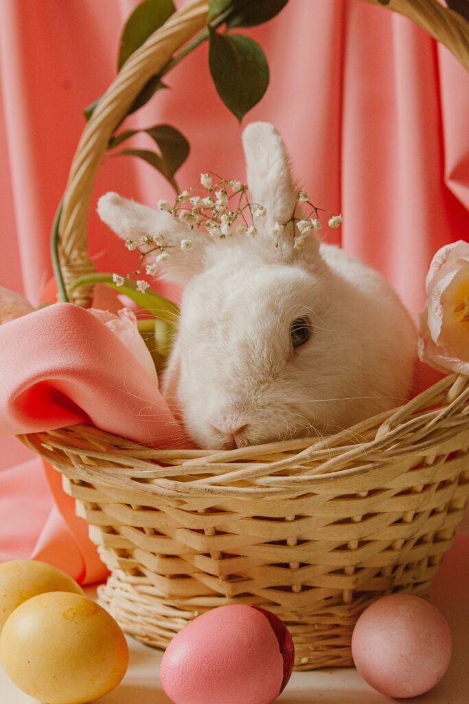 Un lapin de Pâques dans un panier rose